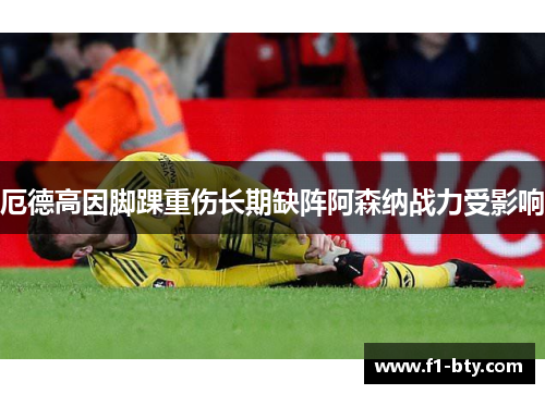 厄德高因脚踝重伤长期缺阵阿森纳战力受影响 厄德高因脚踝重伤长期缺阵阿森纳战力受影响